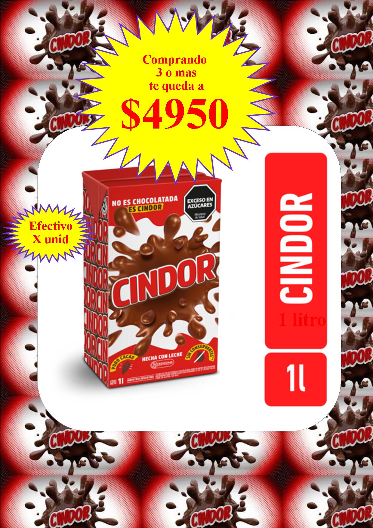 LECHE CHOCOLATADA CINDOR X 1L